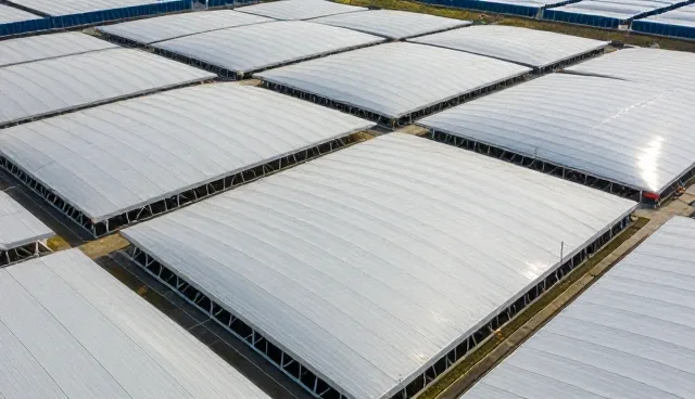 衢州建站对数据验证的影响原因分析